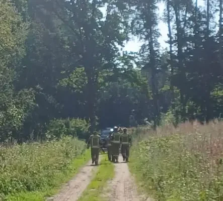Grzybiarz zasłabł w lesie. Wspólna akcja służb zakończona sukcesem