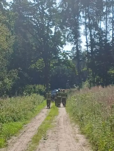Grzybiarz zasłabł w lesie. Wspólna akcja służb zakończona sukcesem