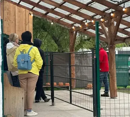 Uczniowie z Górowa Iławeckiego odwiedzili Alpakarnię Zielony Lasek