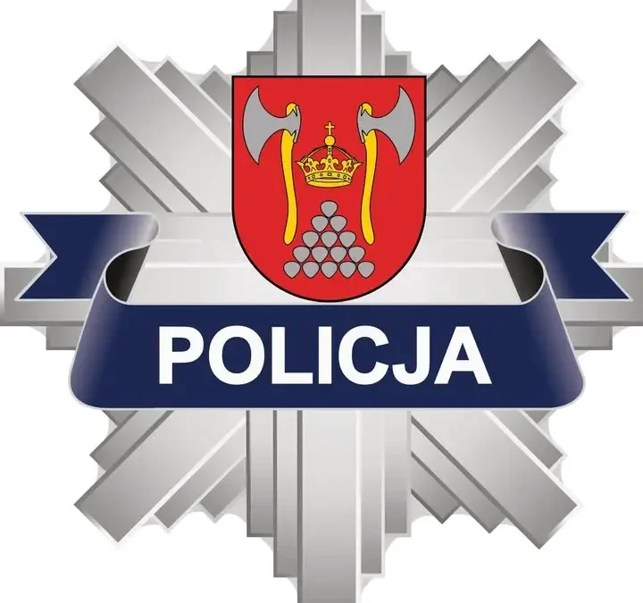 Litwin próbował wywieźć z Polski kradzioną Toyotę – areszt na 3 miesiące